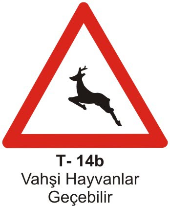 Vahşi Hayvanlar Geçebilir
